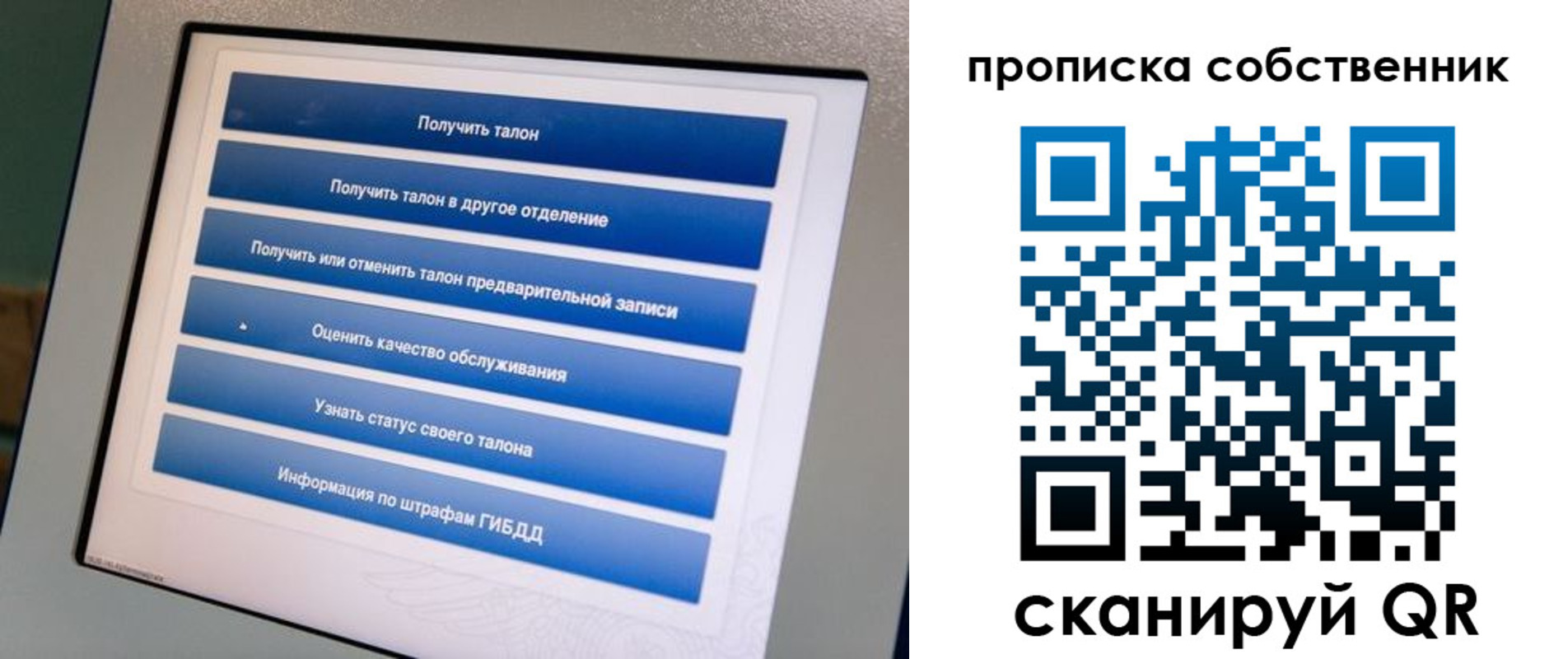 прописка поиск в Курчалом