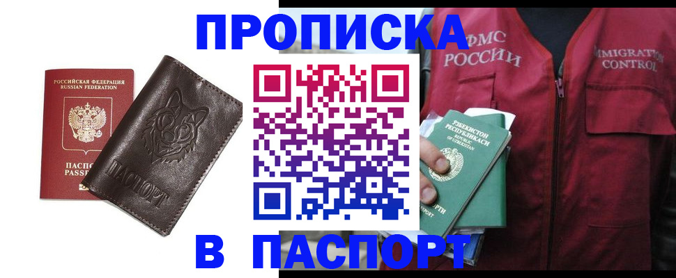 найти адрес прописки в Курчалом